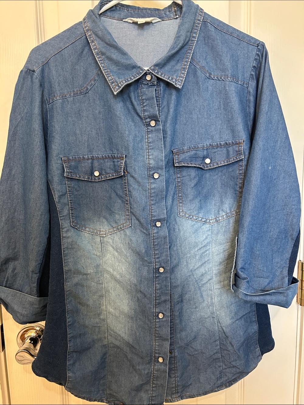 Cavalini Blue Denim Button-Front Shirt